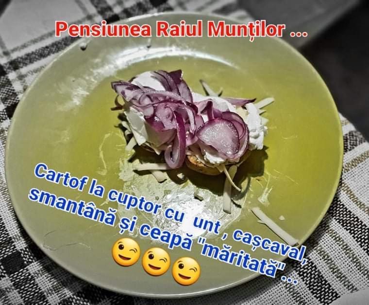 Pensiunea Raiul Muntilor Sebis Екстер'єр фото